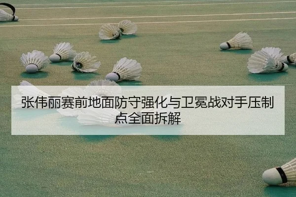 张伟丽赛前地面防守强化与卫冕战对手压制点全面拆解